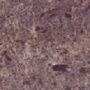 deep plum cream marble
