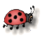 Click the ladybug for great web hosting